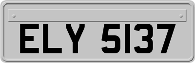 ELY5137