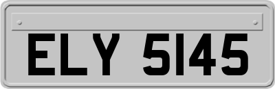 ELY5145