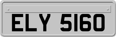 ELY5160
