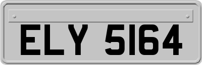 ELY5164