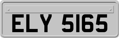 ELY5165