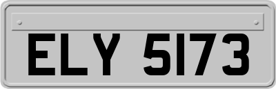ELY5173