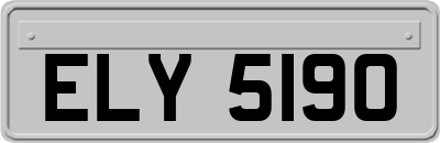 ELY5190
