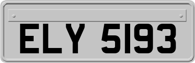 ELY5193