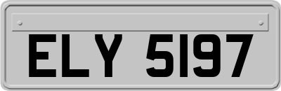 ELY5197