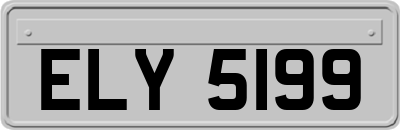 ELY5199