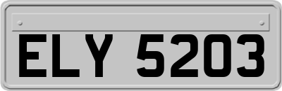 ELY5203