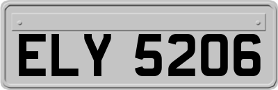 ELY5206