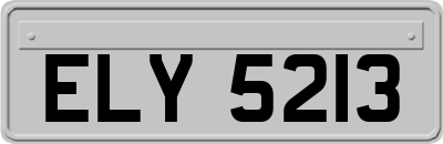 ELY5213