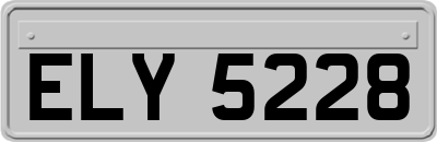 ELY5228