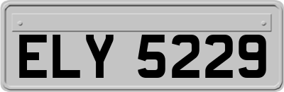 ELY5229