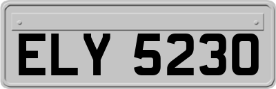 ELY5230