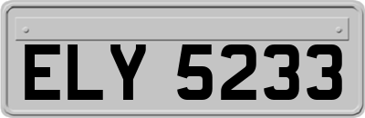 ELY5233