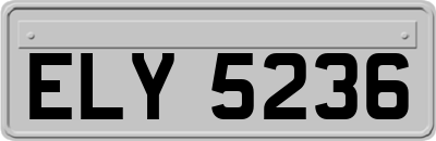 ELY5236