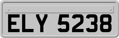 ELY5238