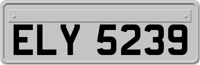 ELY5239