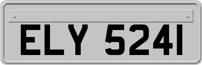 ELY5241