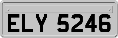 ELY5246
