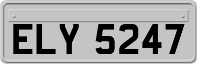 ELY5247