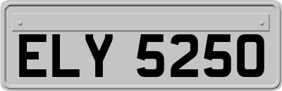 ELY5250