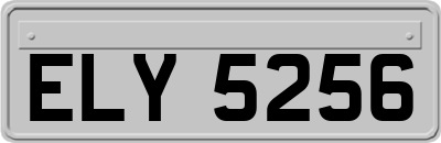 ELY5256