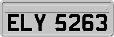 ELY5263