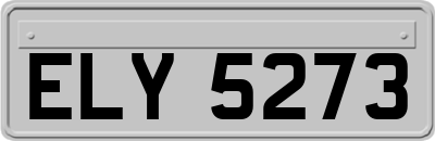 ELY5273