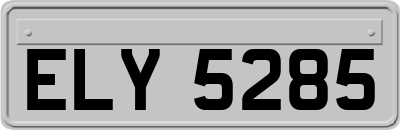ELY5285