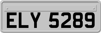 ELY5289