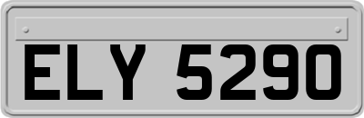 ELY5290