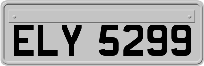 ELY5299