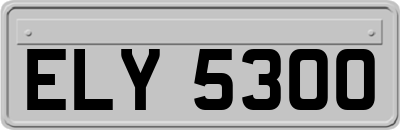 ELY5300
