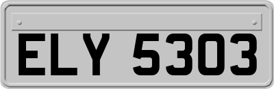 ELY5303