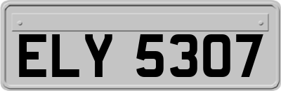 ELY5307