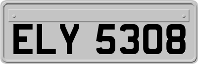 ELY5308
