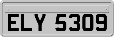 ELY5309