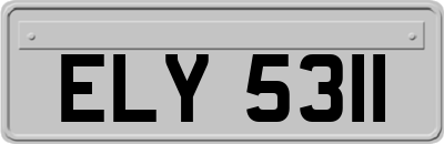 ELY5311
