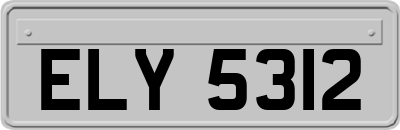 ELY5312