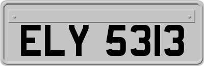 ELY5313