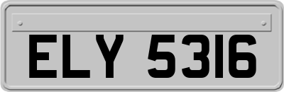 ELY5316