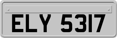 ELY5317
