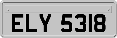 ELY5318