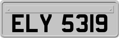 ELY5319