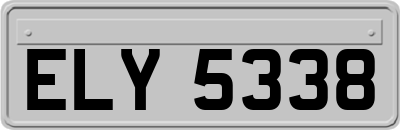 ELY5338