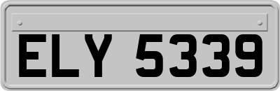 ELY5339