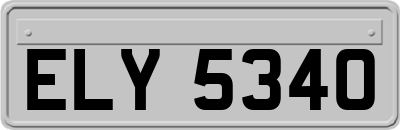 ELY5340