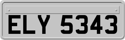 ELY5343