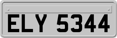 ELY5344