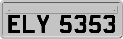 ELY5353