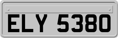 ELY5380